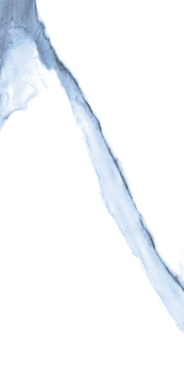 Calacatta Blue Polished 12 x 24